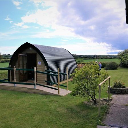 Shanagarry / Ballycotton Glamping Pod Cork Eksteriør bilde